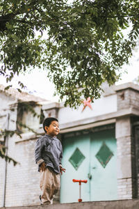 Low angle view of boy standing under tree