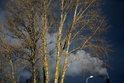 Low angle view of bare tree against sky during winter