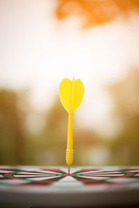 Close-up of arrow on dartboard