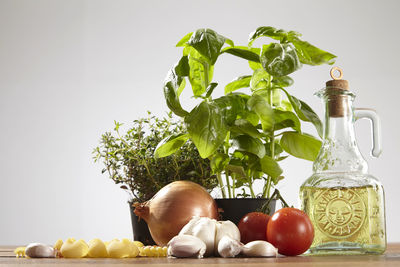 Close-up of ingredients on wooden table against white background