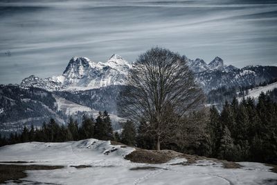 Scenic view of snowcapped mountains against sky