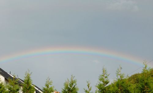 Low angle view of rainbow against sky