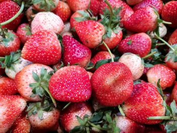 Full frame shot of strawberries for sale at market