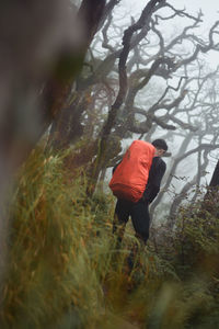 Climbing mount bawakaraeng, indonesia