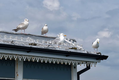 Seagulls perching on cable against sky