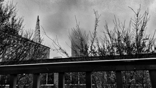 View of trees against sky