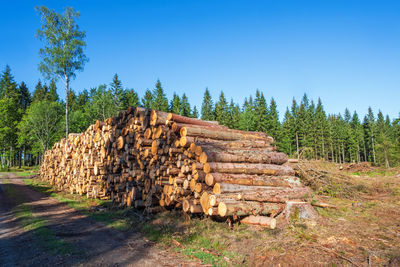 Stack of logs in forest against clear sky