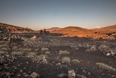 Scenic view of landscape against clear sky