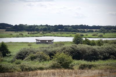 Scenic view of landscape against sky