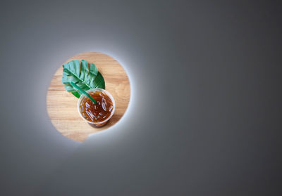 High angle view of fruit against white background