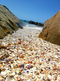 Scenic view of beach against clear sky