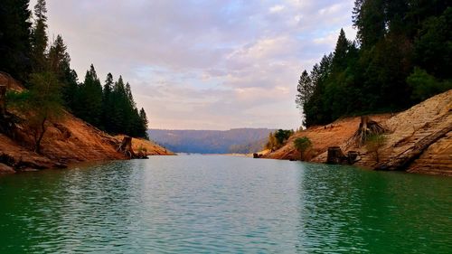 Scenic view of river by trees against sky