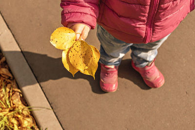 Low section of girl standing on yellow leaves standing on road