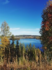 Scenic view of lake against clear blue sky