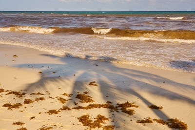 Scenic view of beach