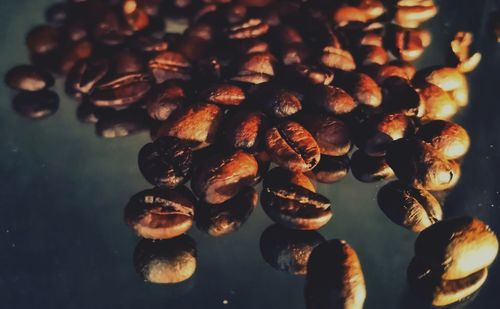 High angle view of pine cone on table