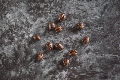 High angle view of food on floor