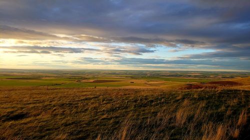 Evening glow across a field