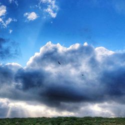 Low angle view of birds flying in sky