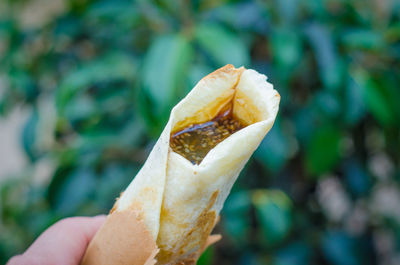 Cropped image of hand holding food