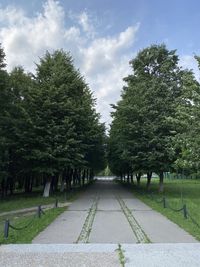 Empty road amidst trees in park against sky