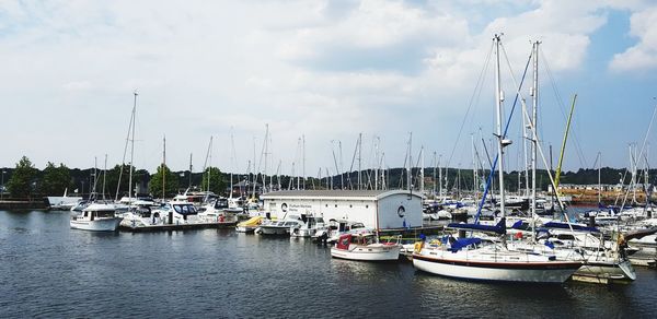 Sailboats moored in harbor