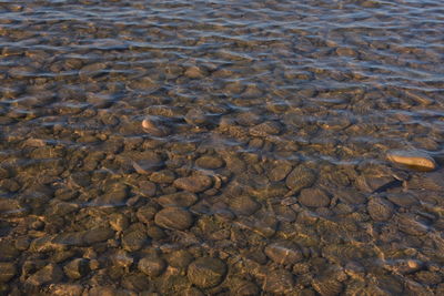 Full frame shot of mud on beach