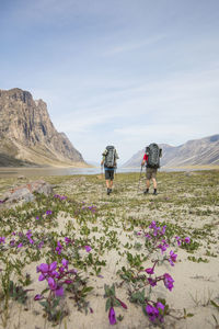 Rear view of two backpackers traversing akshayak pass, canada.