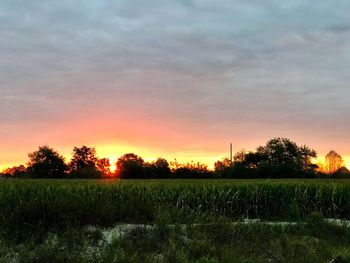 Scenic view of field against sky during sunset