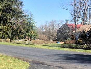 Road by bare trees against clear sky