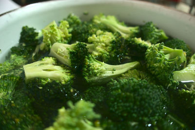 Close-up of food in plate