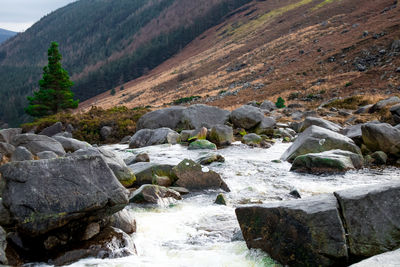 River flowing through rocks