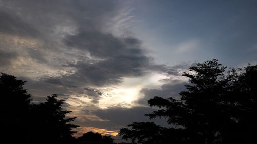 Low angle view of silhouette trees against sky during sunset