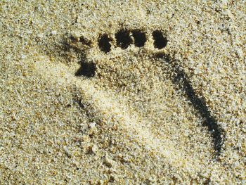 Full frame shot of white background