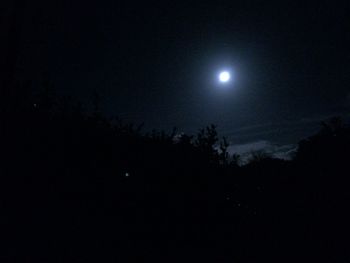 Low angle view of trees against sky at night