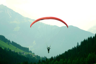 Rear view of man paragliding above trees