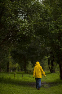 Rear view of man walking in park