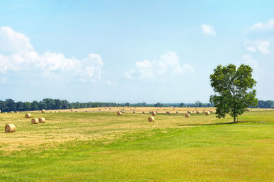 Hay bales on grassy field against sky