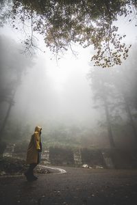 Side view of man standing by tree in forest