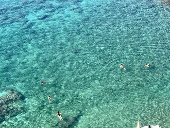 High angle view of people swimming in sea