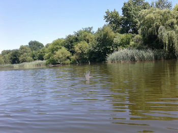 Scenic view of lake