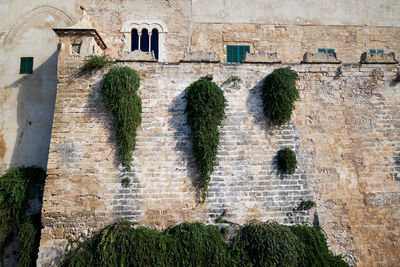 Graffiti on wall of building