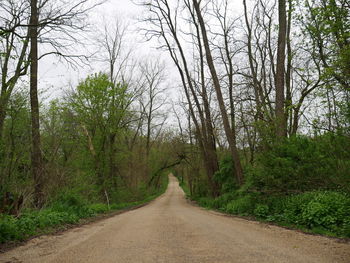 Road passing through forest