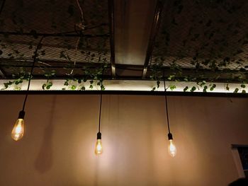 Illuminated light bulbs hanging from ceiling