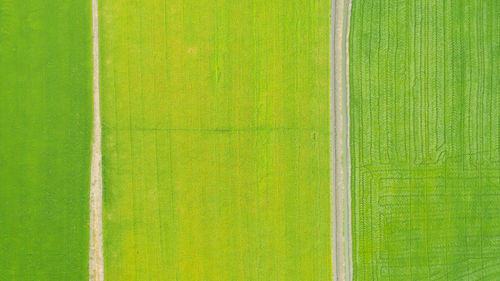 Full frame shot of green field