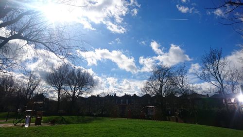 Trees against sky