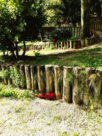 Trees in front of built structure