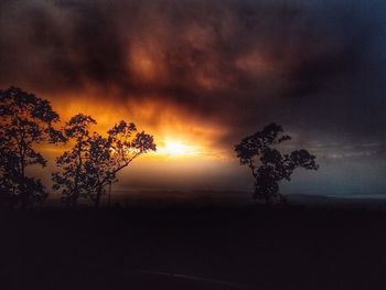 Silhouette trees against sky during sunset