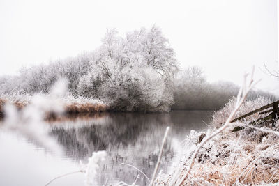 Frozen lake by trees against clear sky