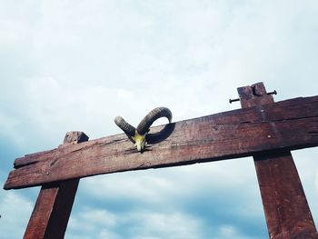 Low angle view of bird perching on wood against sky